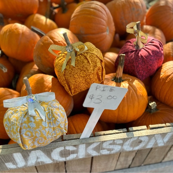 Pumpkin Decor - Picture 7 of 12